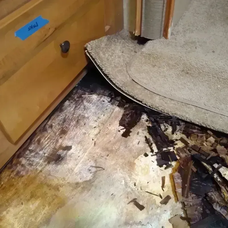 Wood Floor Water Damage in East Milton, FL